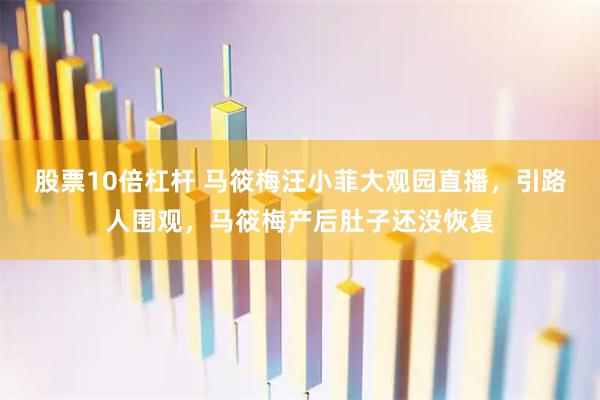 股票10倍杠杆 马筱梅汪小菲大观园直播，引路人围观，马筱梅产后肚子还没恢复