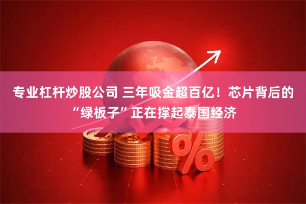 专业杠杆炒股公司 三年吸金超百亿!芯片背后的“绿板子”正在撑起泰国经济